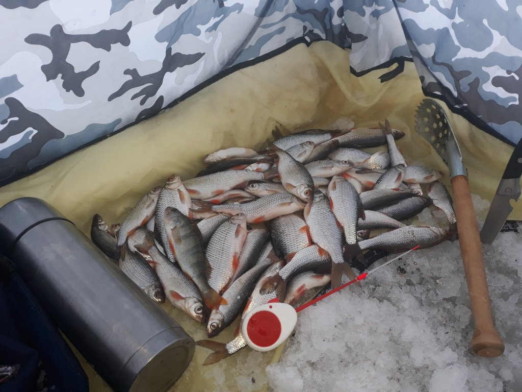 Совхозная