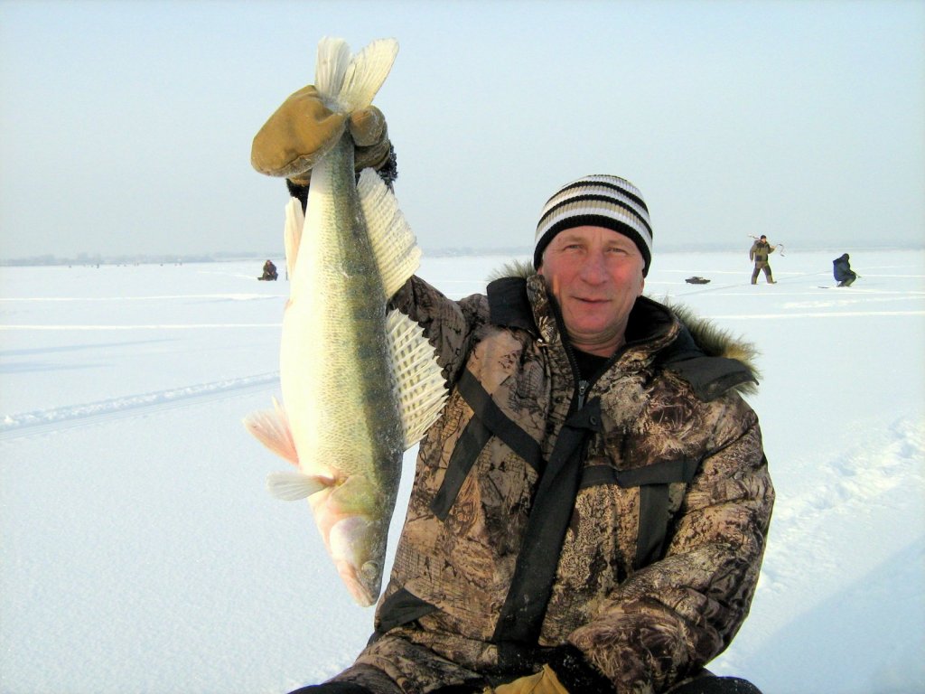 Какие красавцы!