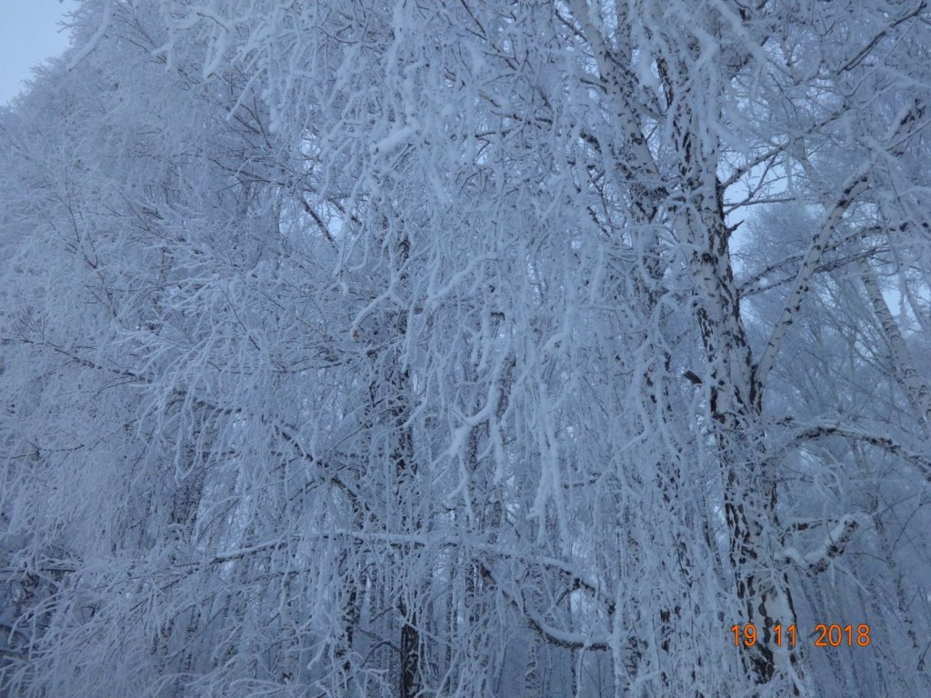 Зимняя сказка