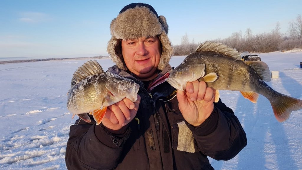 близнецы