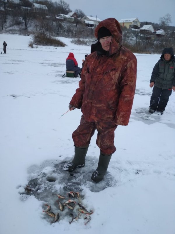 Дошли и сюда морозы!