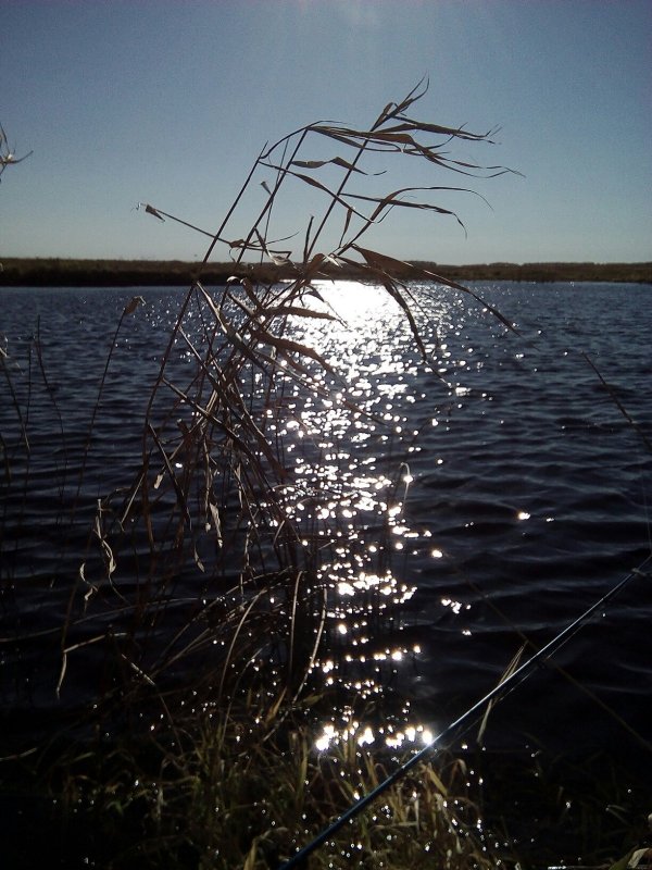 Чулым