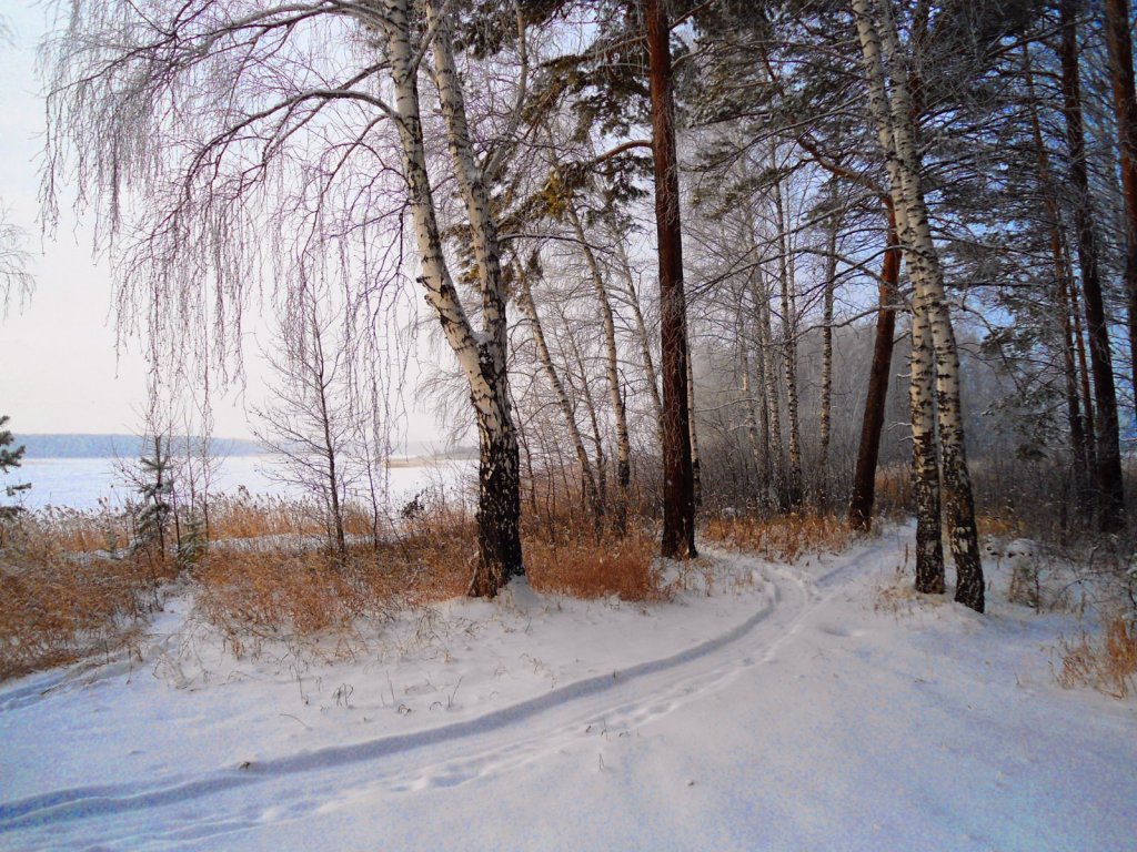 Шарап .Выходные
