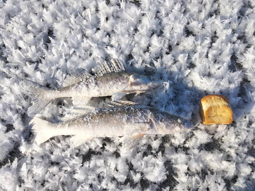 вчера, середина ОВХ