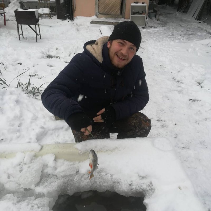 Домашние окуньки
