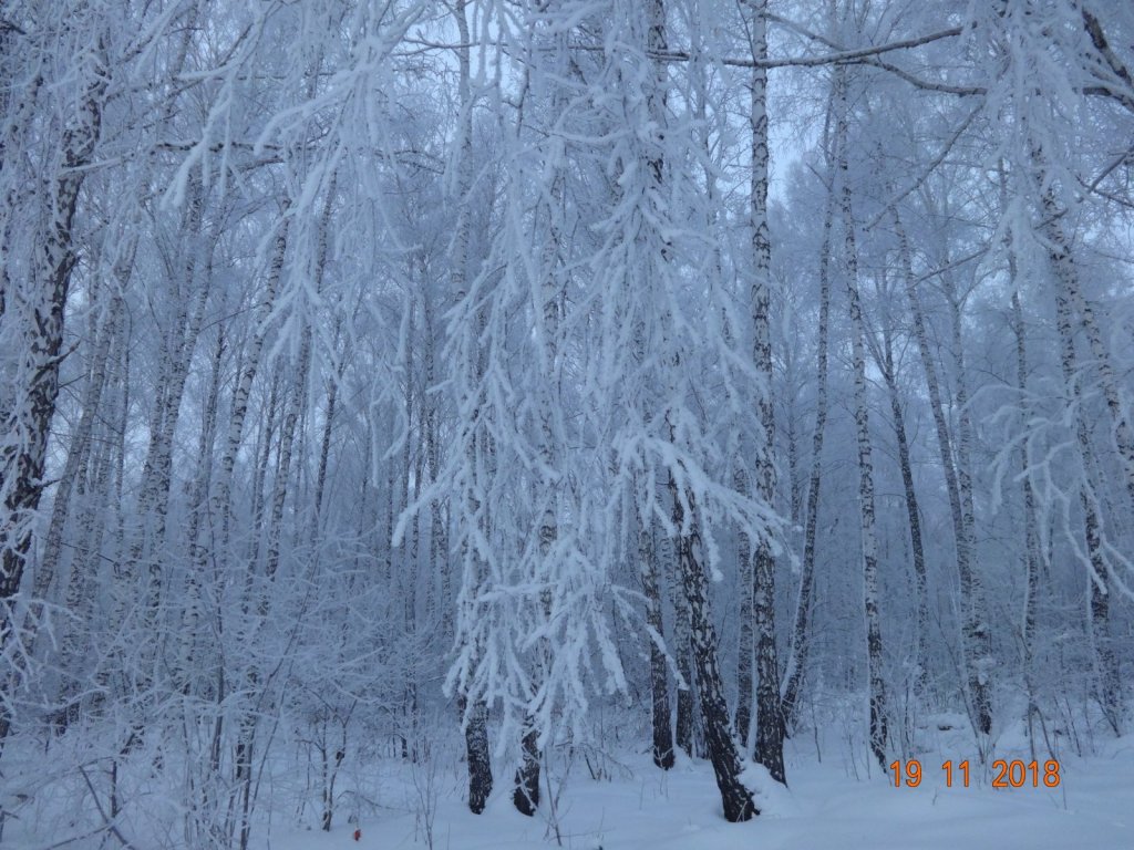 Равновесие снега и тишины