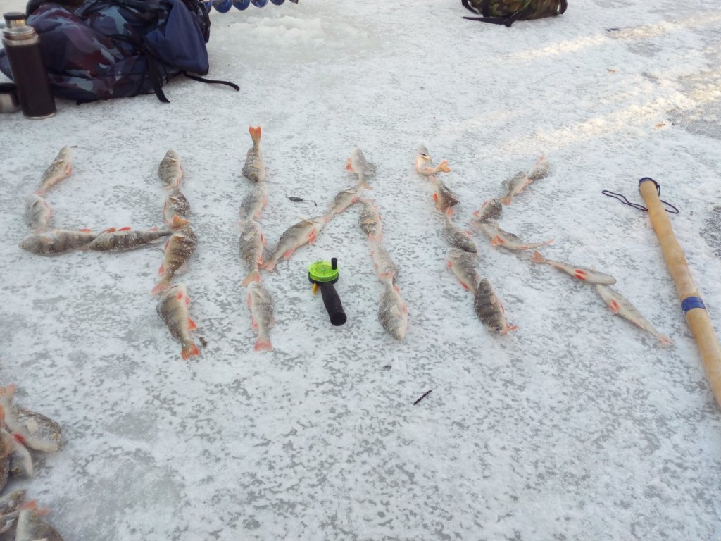 Малая речка… .