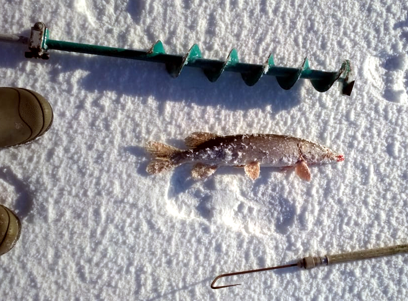 Winter river pike*