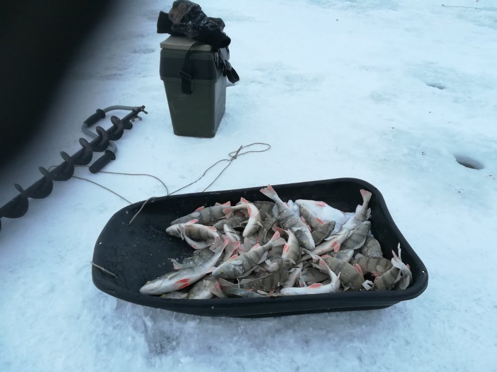 Сегодня Красный Яр.