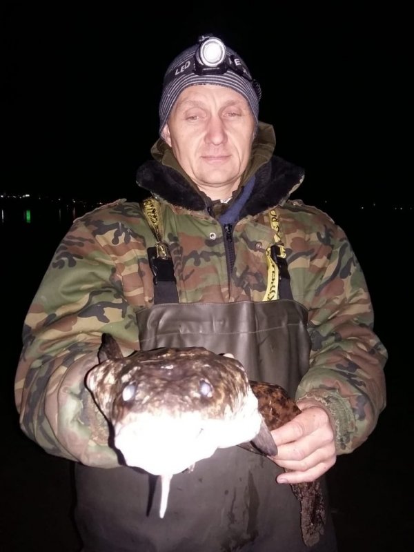 последний подарочек перед ледоставом.