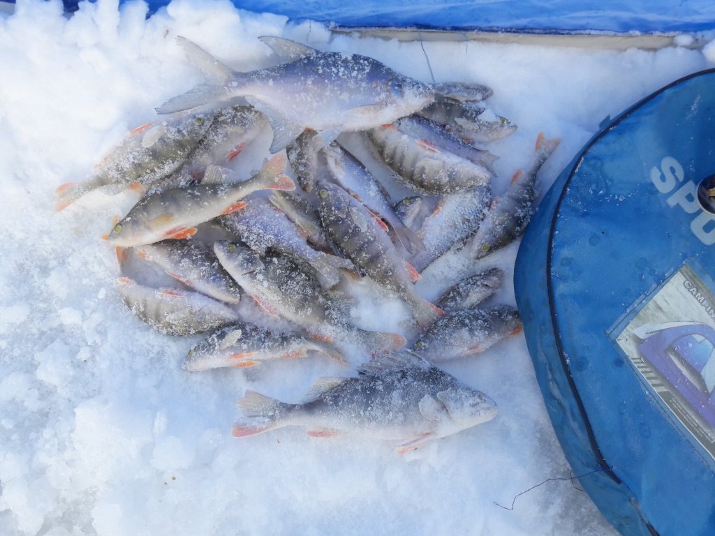 Морозное Морозово.