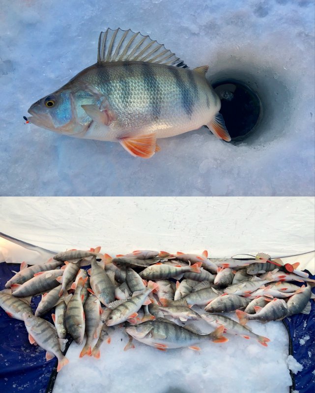 Тюкал капитально
