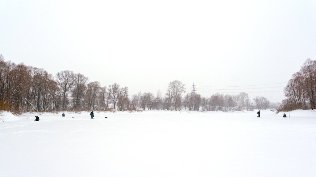 В поисках рыбы.