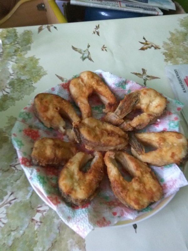 Щука