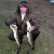 shesternev.yury2