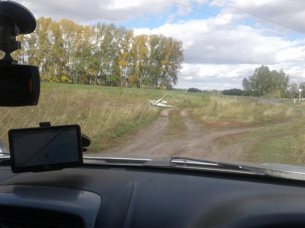 "Кенгуру"
