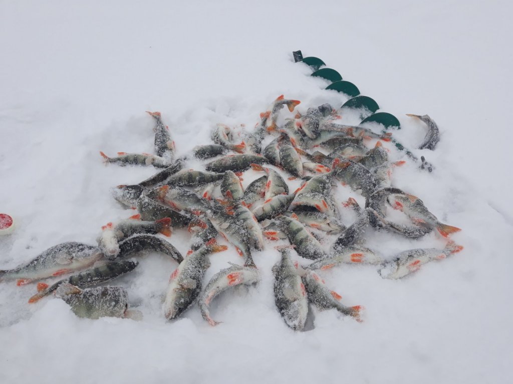 Отвёл душу