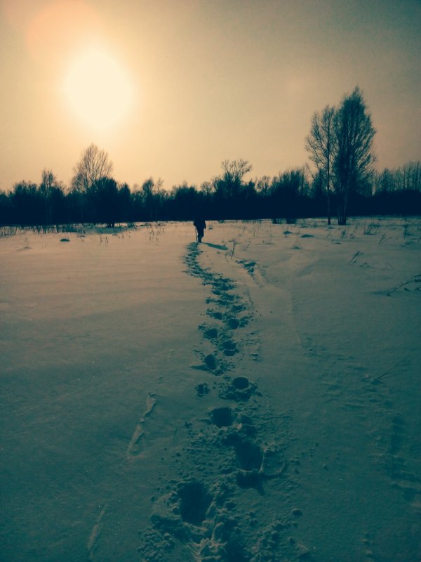 Нелегкий путь к рыбным местам.