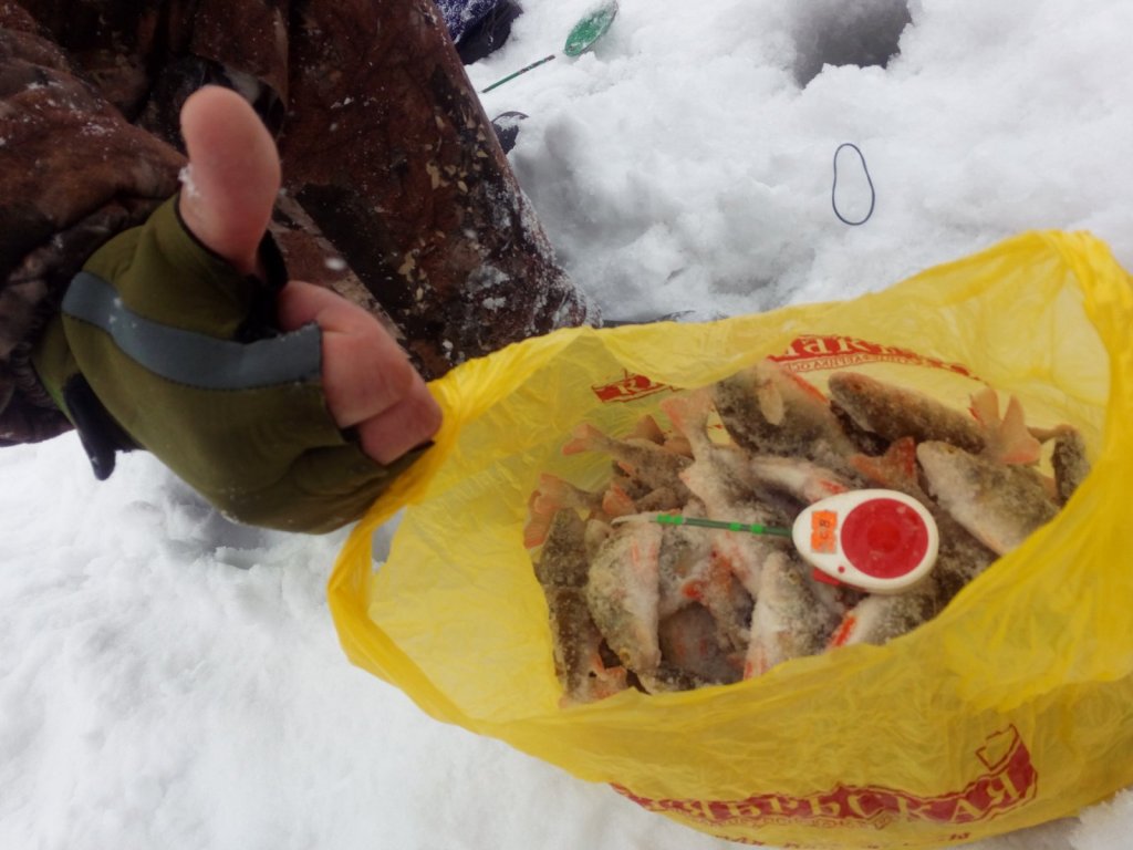 Половили  окуньков на озере, за огородами.