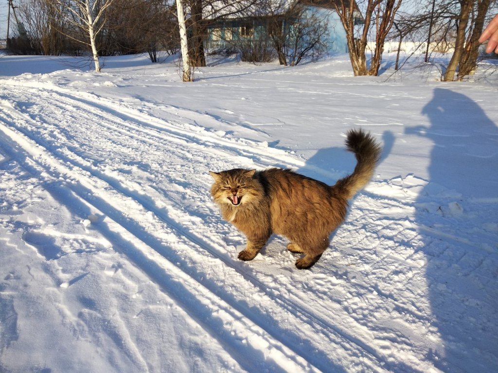 Пичуговский авторитет, кликуха Бочок)))