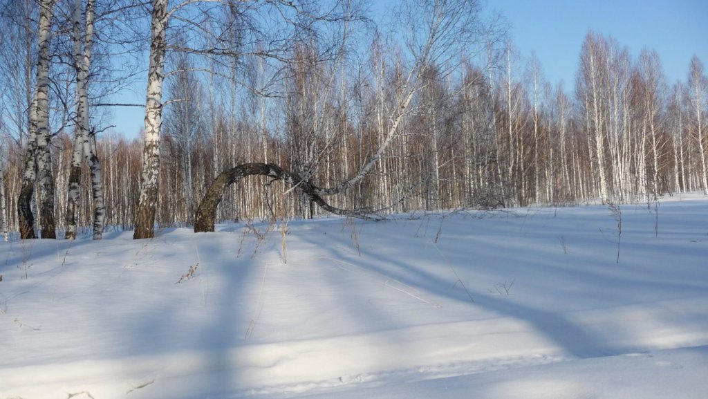 Судьба