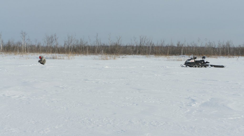 В поисках рыбы.
