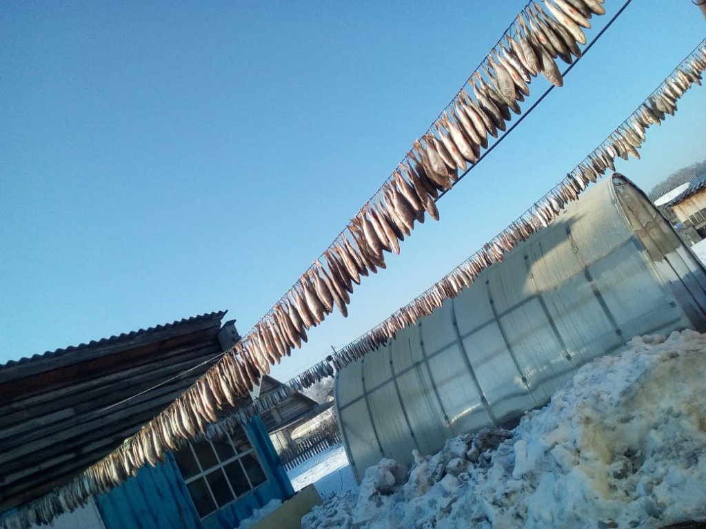 560 штук.