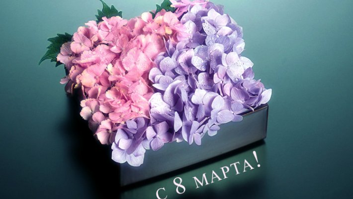 Сайт Новосибирских рыбаков поздравляет наших милых дам с 8 марта!