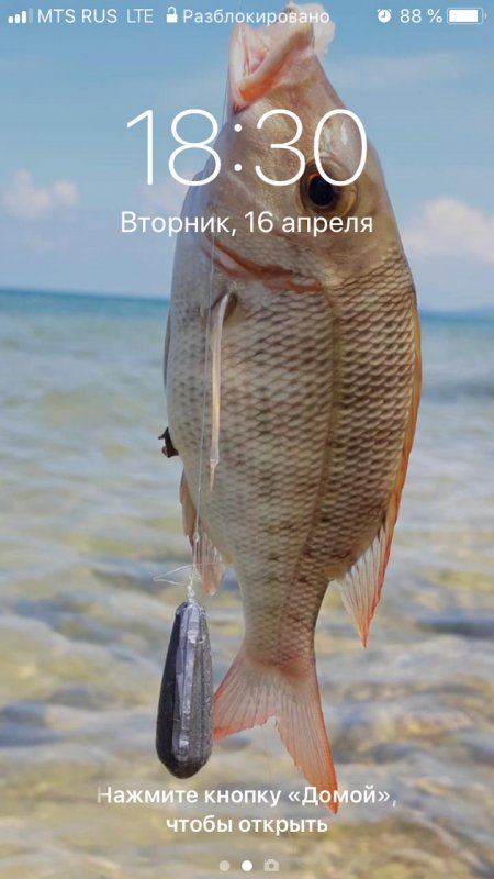 Рыбка