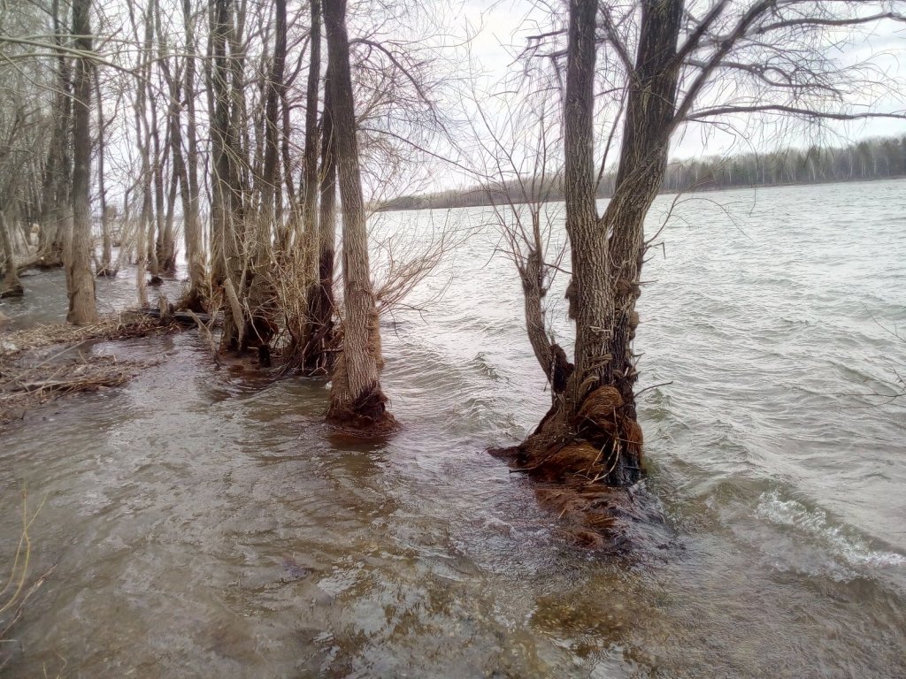 17.04. Река Обь, водичка прибывает.