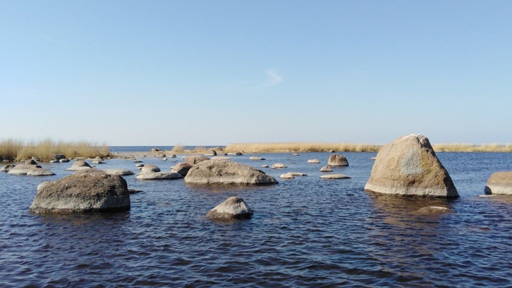 Финский залив. Открытие сезона.