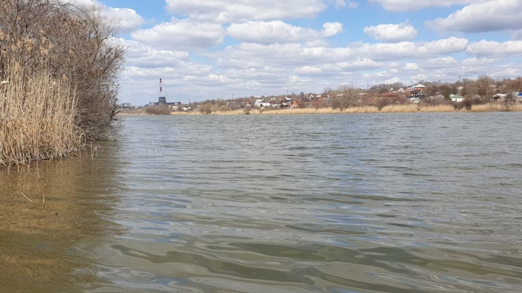 На безрыбье и рак рыба