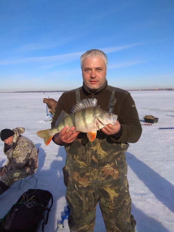 Попался под закрытие