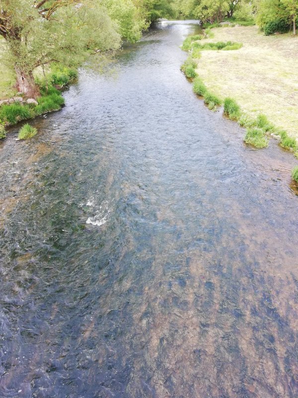 Мало дождей, уровень воды как летом.