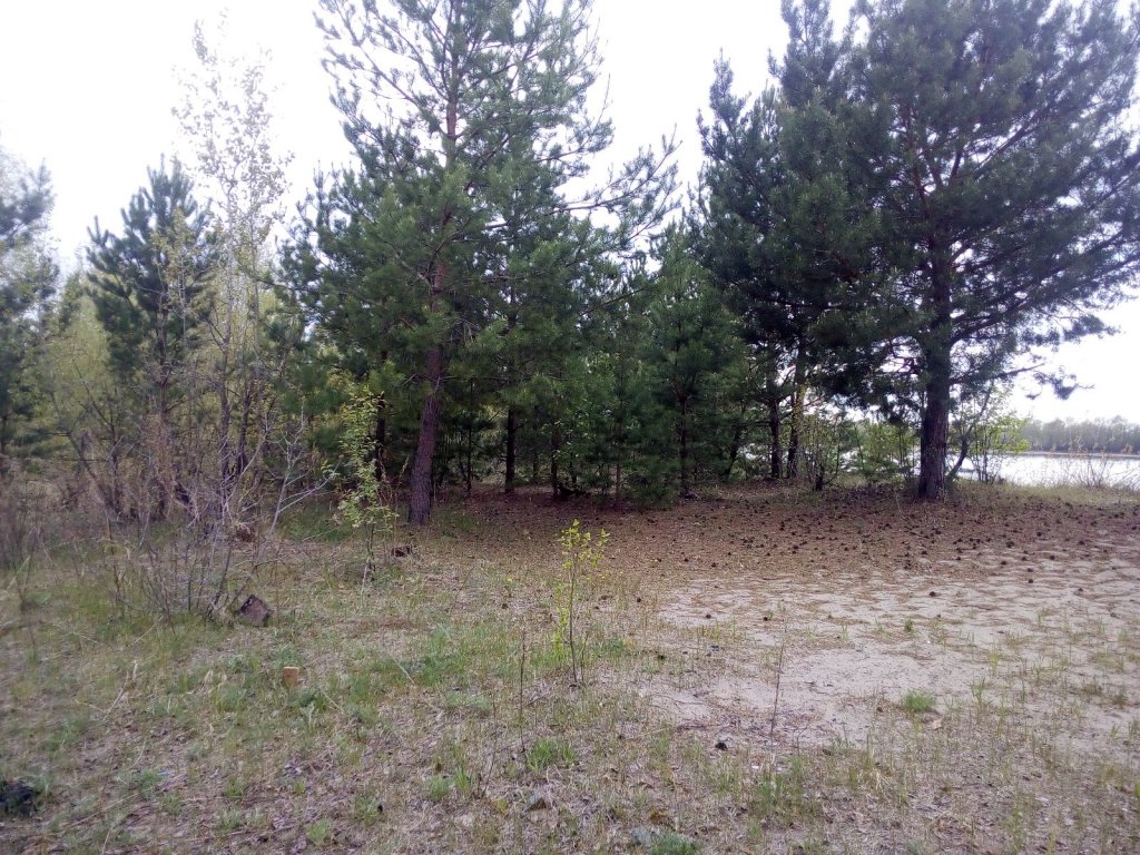 Остров "Медвежий".