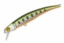 Воблер Pontoon21 Shallow First 100F-SR