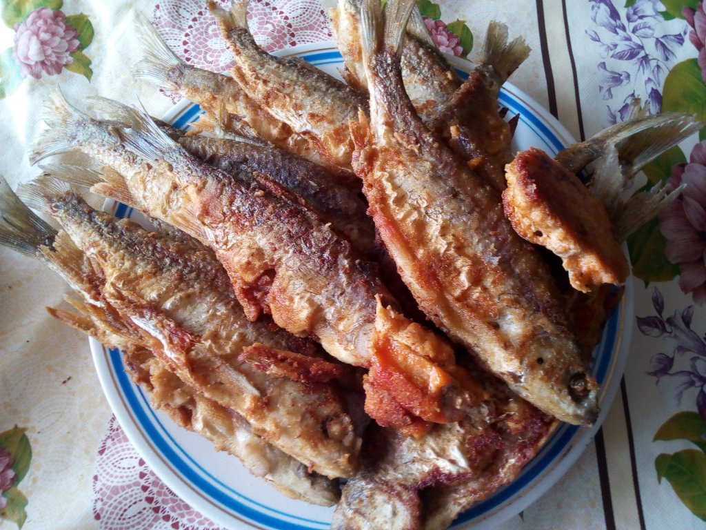 Сорога жаренная, инская.