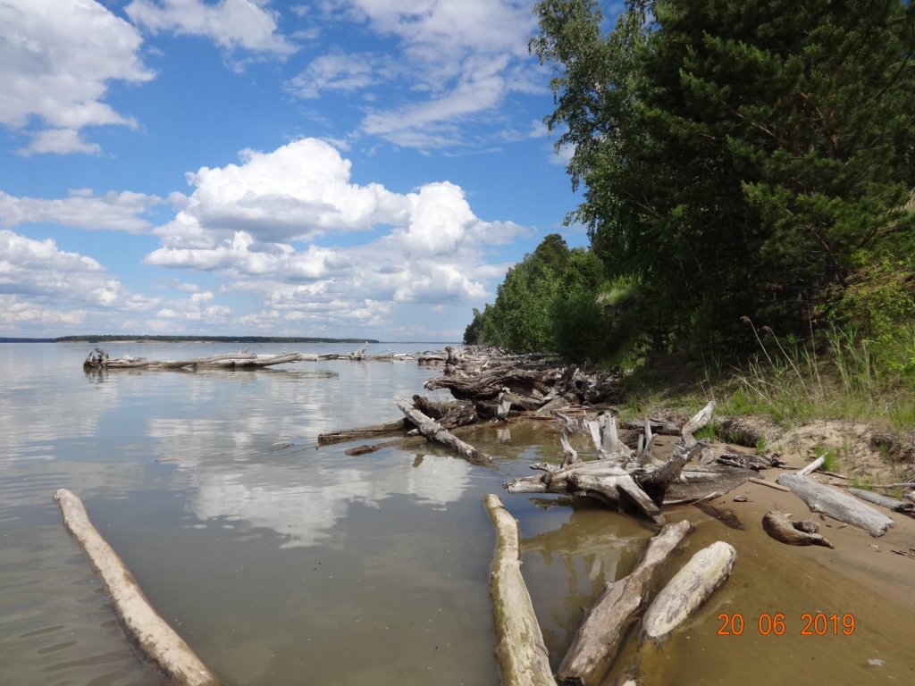 Сказочные чудовища любимого моря.