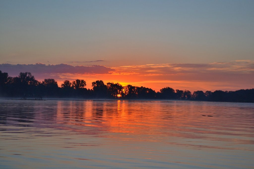 22.06.2019