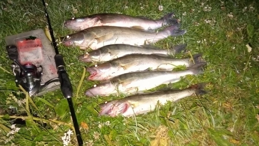12 07 2019
