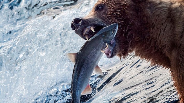 Тест-драйв комплектов: спиннинг + катушка от SibBear. Предложение невиданной щедрости!