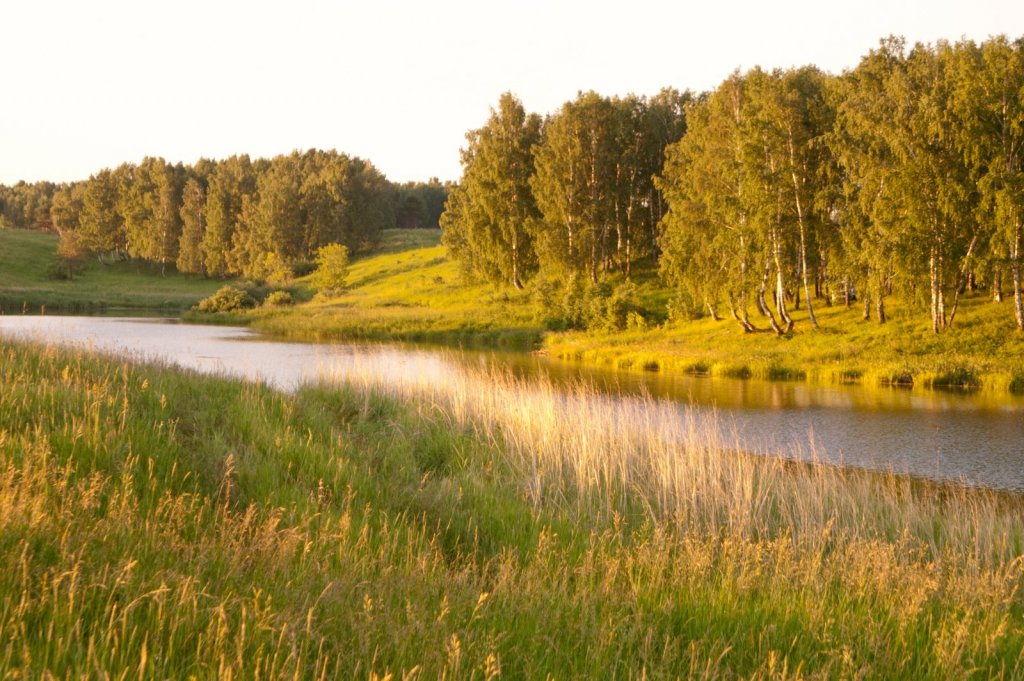 Доброе утро 1