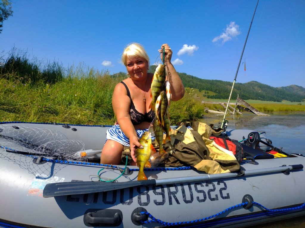 Теньгинские окуня