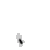 _Partizan_