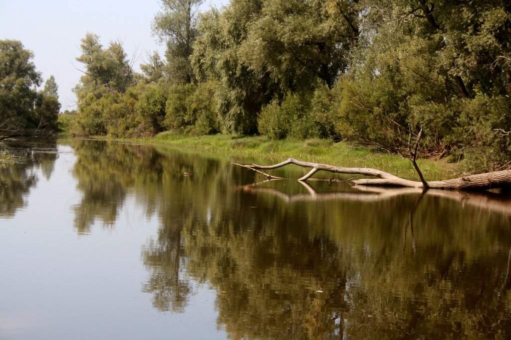 река УЕНЬ