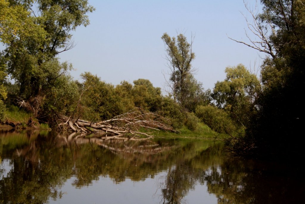 река УЕНЬ