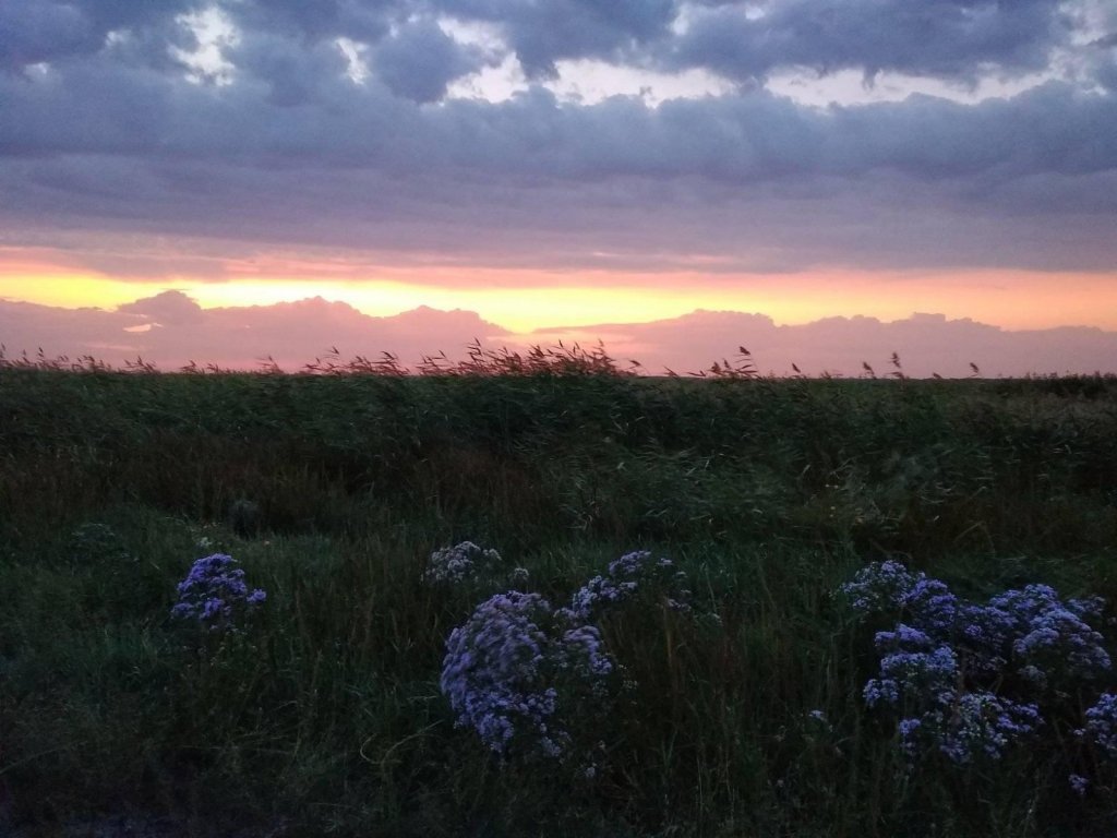 Рассвет.