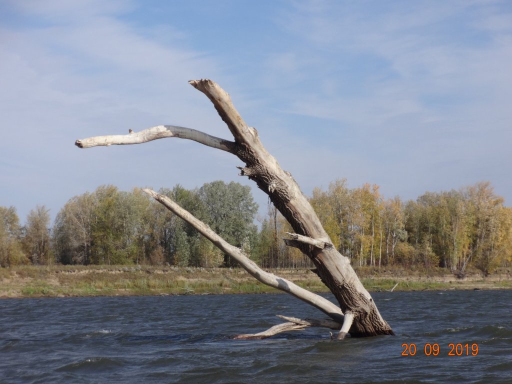 Елизарьевский часовой.
