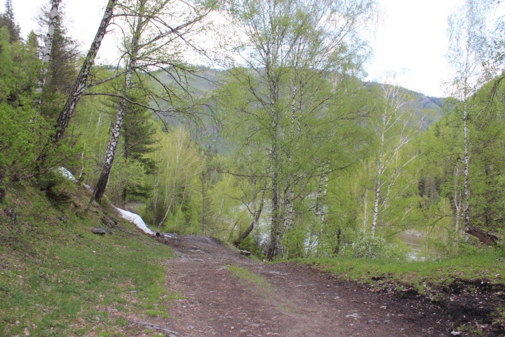 Алтай