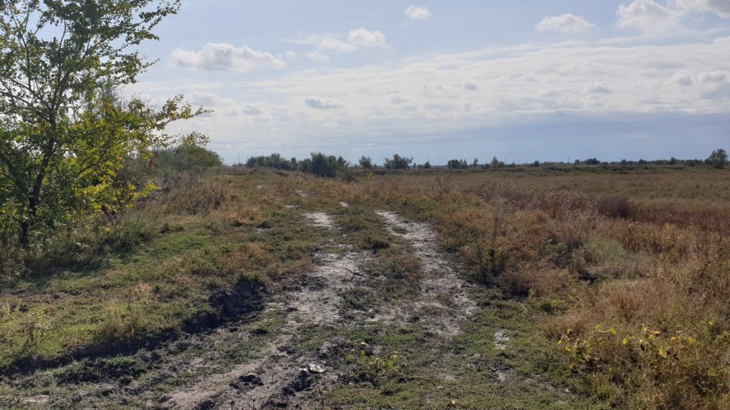 Вода пришла, щука активизировалась